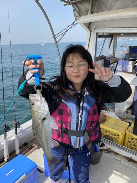 ズズキ・鯛・アコウ・ヒラメ